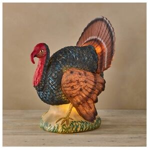 John Derian for Target 17" Décor Turkey Lit Blow Mold